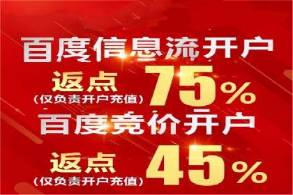 百度竞价赚钱的技巧与成功案例探讨